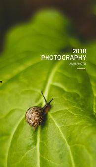 国产蜗牛窝在线观看,在线观看，探索蜗牛世界的奇幻之旅