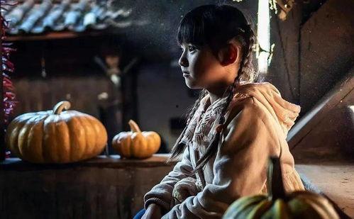 不催泪电影国产在线观看,不催泪的感动瞬间，在线观看推荐