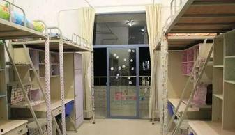 国产 中午 宿舍 在线,国产电影中午宿舍在线观影指南